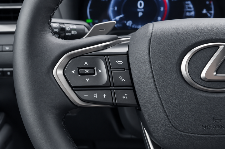 Interior — steering wheel + cluster